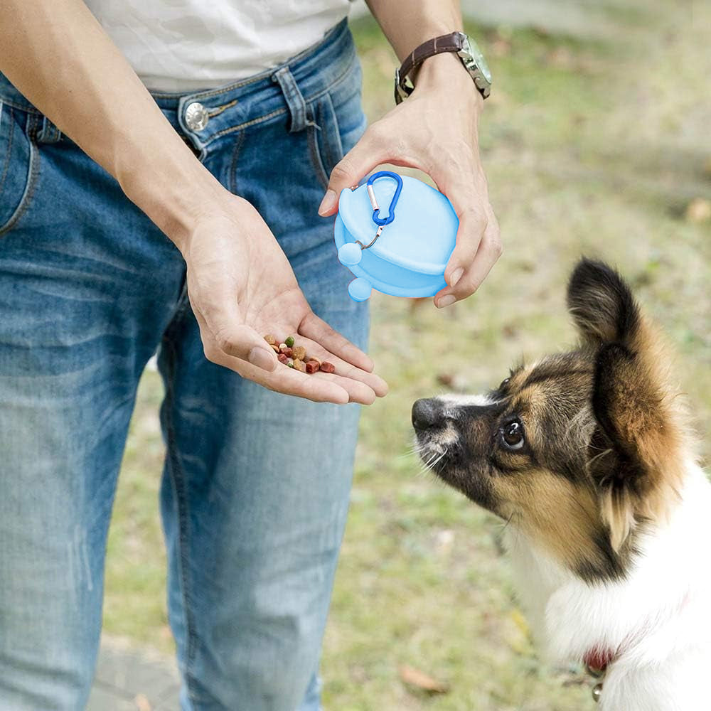Portable Silicone Dog Training Treat Pouch with Carabiner