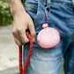 Portable Silicone Dog Training Treat Pouch with Carabiner