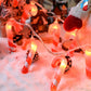 Christmas Candy Cane String Fairy Lights