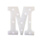 14 LED Separate Letters Christmas Lights 'MERRY CHRISTMAS'