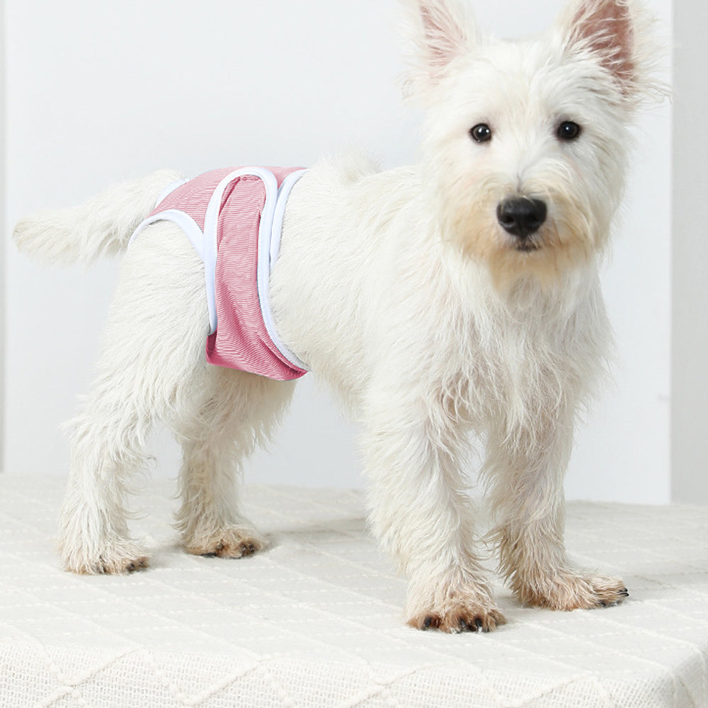 4Pcs Reusable Female Dog Nappy Diapers Hygiene Sanitary Pants Underpants