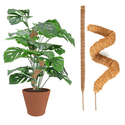 Moss Pole Bendable Plant Stakes for Climbing Plants