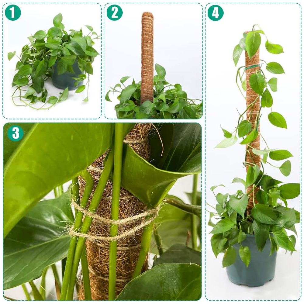 Moss Pole Bendable Plant Stakes for Climbing Plants