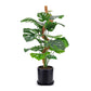 Moss Pole Bendable Plant Stakes for Climbing Plants