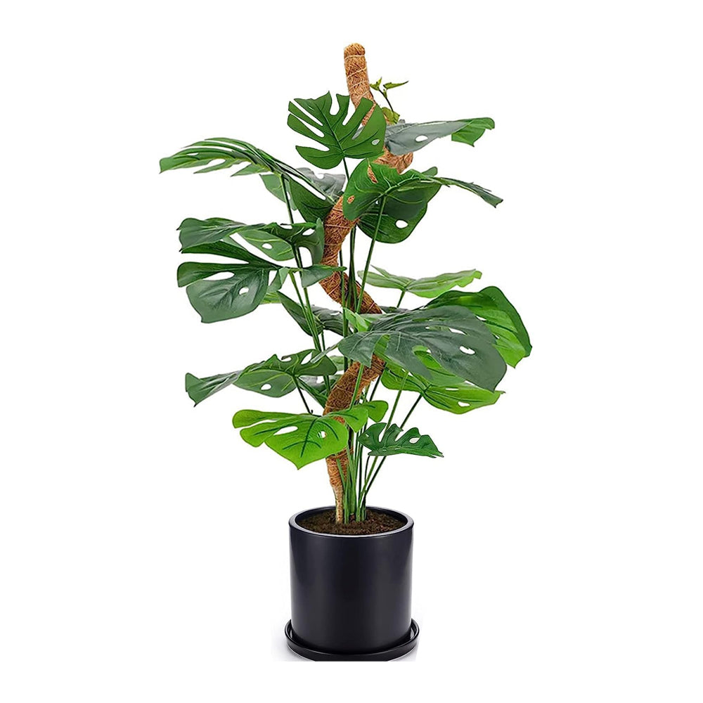 Moss Pole Bendable Plant Stakes for Climbing Plants