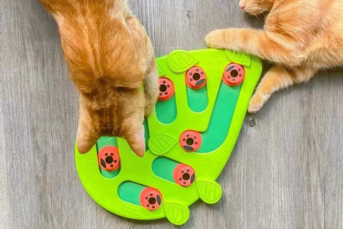 Interactive Cat Puzzle Feeder Treat Dispenser