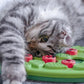 Interactive Cat Puzzle Feeder Treat Dispenser