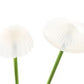 Two Outdoor Solar Mushroom Lights
