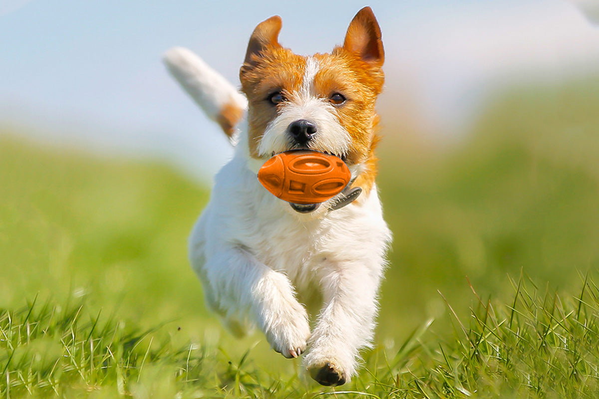 Puppy Chew Ball With Squeaker Dog Chew Toys Squeaky Dog Toys For Aggressive Chewers