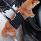 Portable Dog Back Legs Hip Support Sling For  Canine Aid and Rehabilitation
