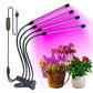 Grow Light for Indoor Plants with 9 Dimmable Levels Red Blue Spectrum Plant Light