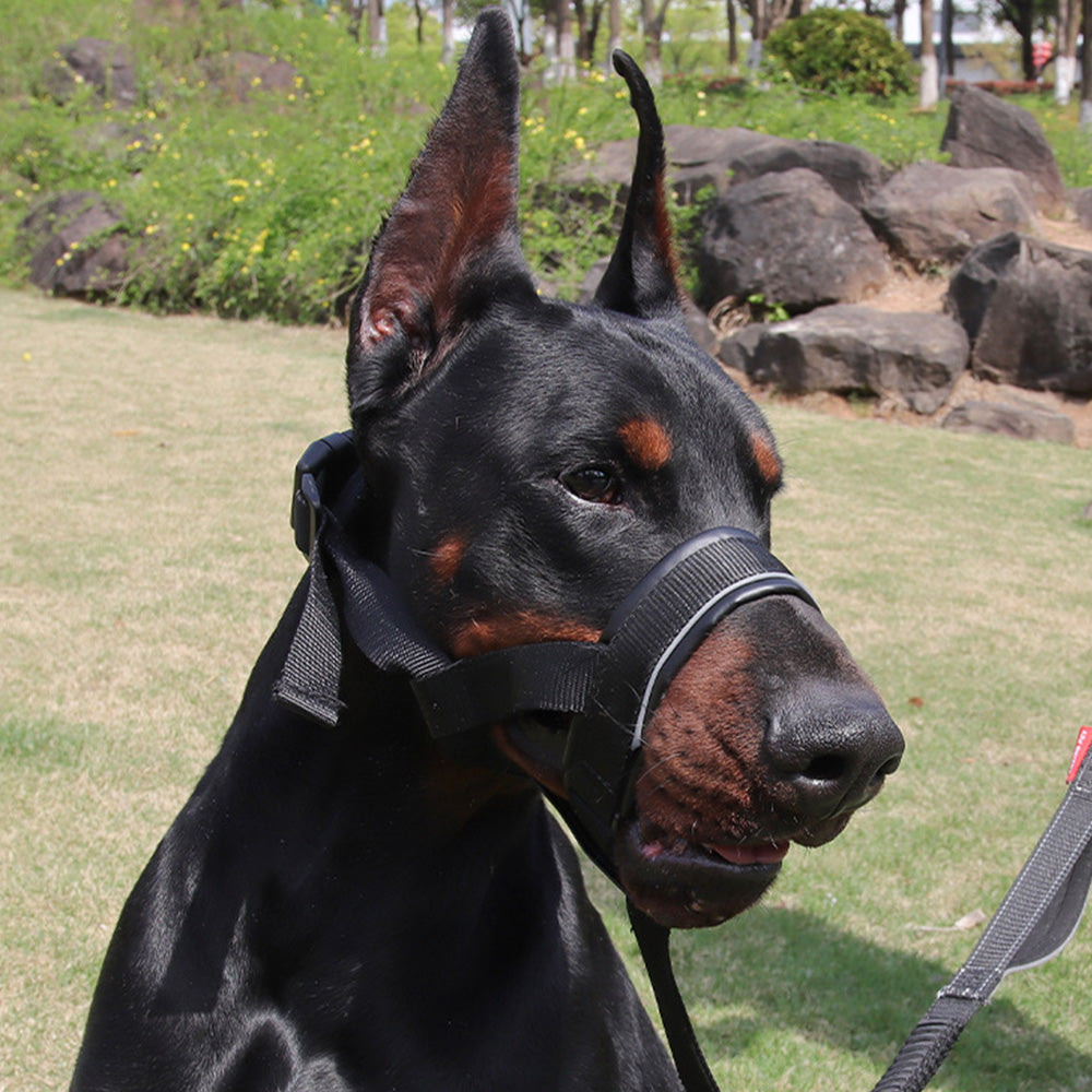 Adjustable Dog Head Collar with Padded Nose Loop for Training