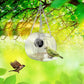 Smart Bird Feeder with 1080P WiFi Connection Camera for Closeup Shots
