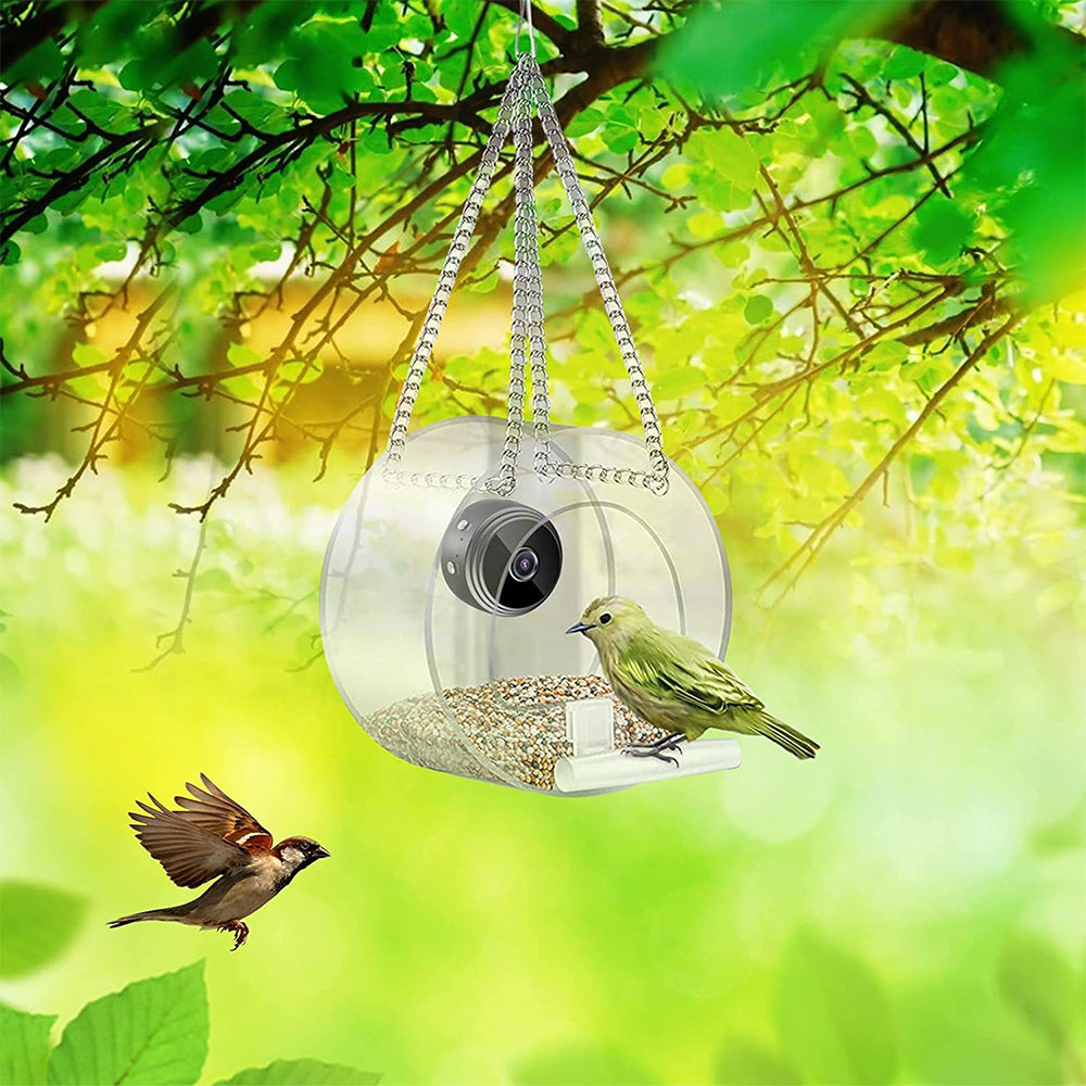 Smart Bird Feeder with 1080P WiFi Connection Camera for Closeup Shots
