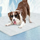 Scratch Resistant Summer Cooling Mat for Pet