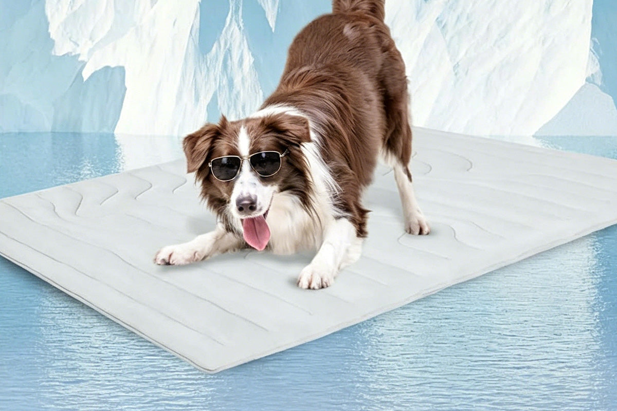 Scratch Resistant Summer Cooling Mat for Pet