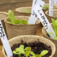 300PCS 10x2CM Plant Labels White Plastic Garden Tray Pot Plug Stick ID Marker Name Tag