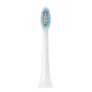 Single Replacement Toothbrush Head with Dust Cover Compatible with Philips Electric Toothbrush Models