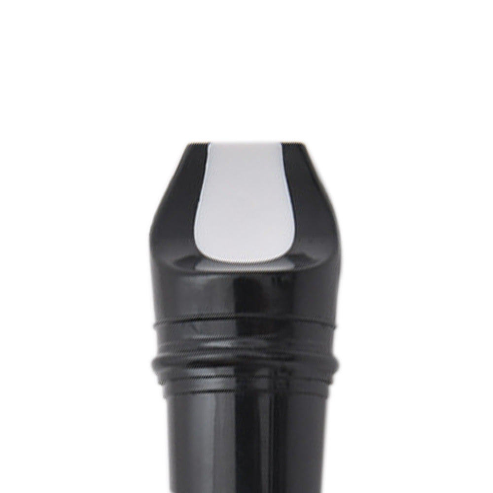 ABS 8-Hole Descant Soprano Recorder for Beginners