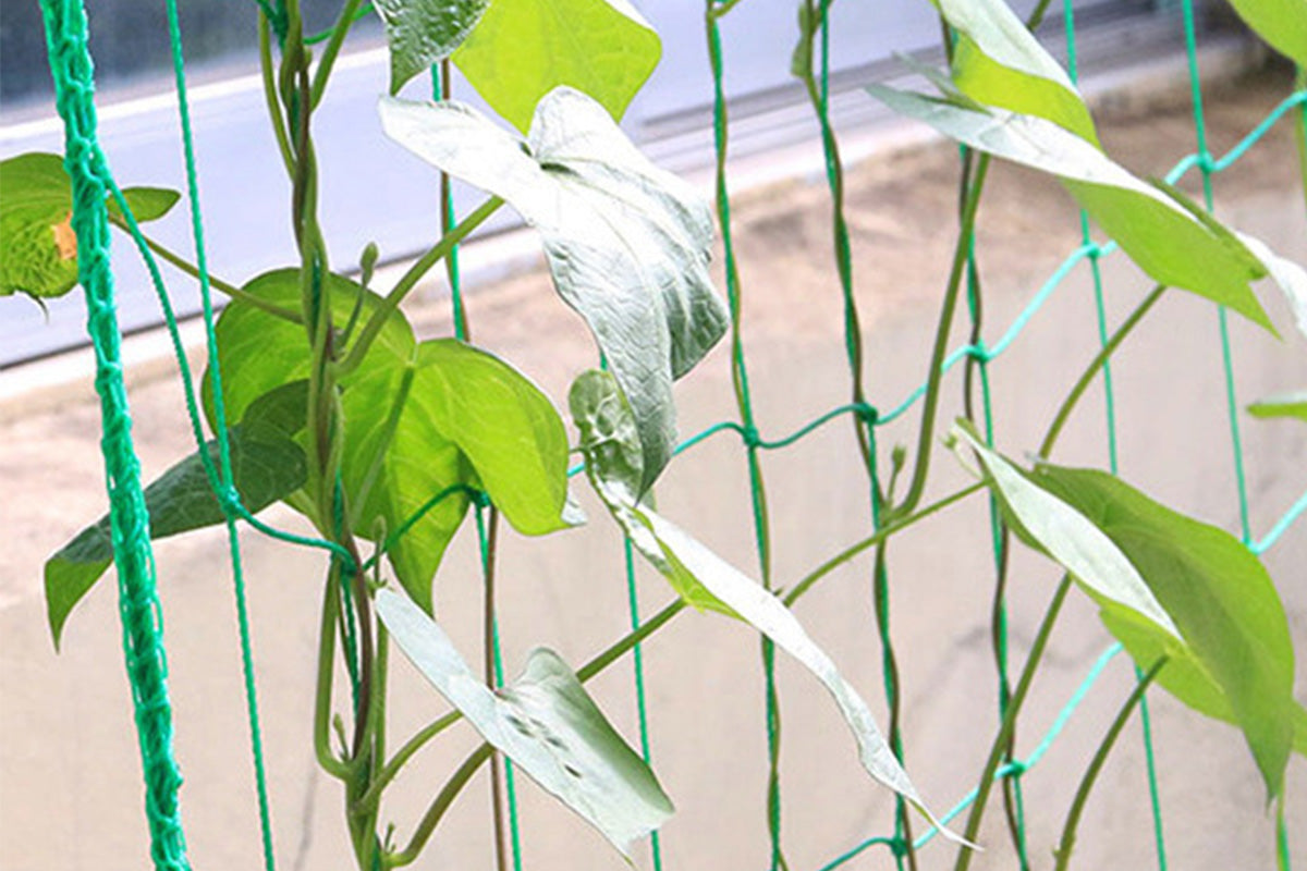 Garden Plant Climbing Net Vegetable Flower Vine Trellis Support Fence