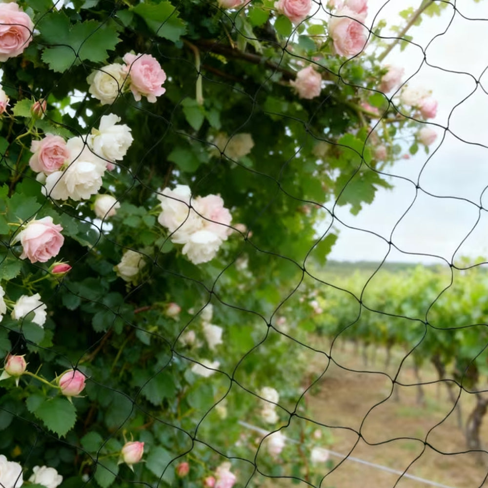 22x5m Nylon Bird Netting for Garden Fruit Tree and Crop Protection