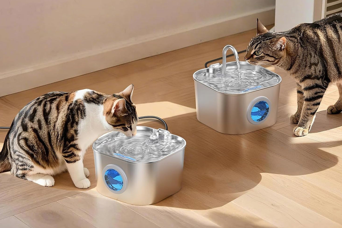 Automatic Pet Water Fountain USB 2.2L Stainless Steel for Cats and Small Animals