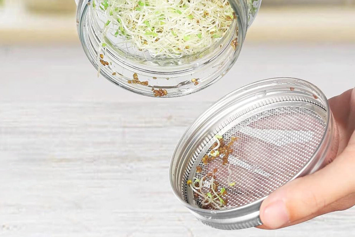 Stainless Steel Sprouting Lid with Mesh Filter for 32 oz Wide Mouth Mason Jars