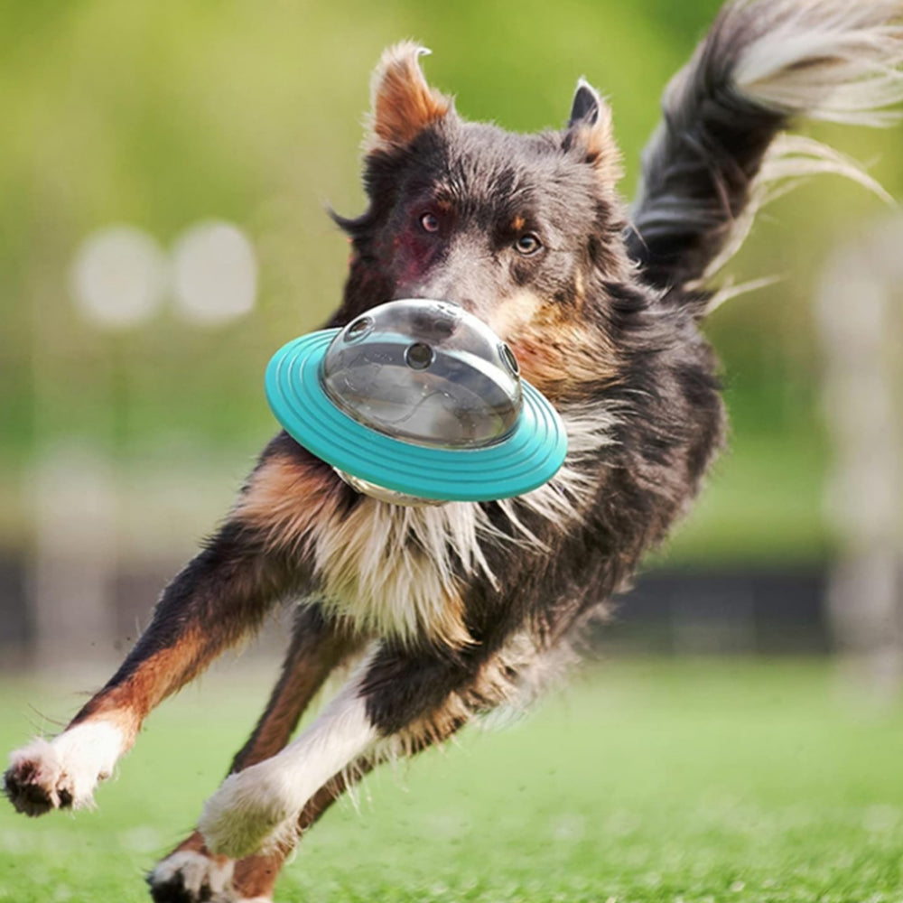 Pet Tumbler Ball Slow Feeder Interactive Toy