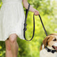 Dazzling Embellishments Dog Leashes and Collars with Bow Knot for Small Dogs Puppy