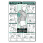 Gym Workout Muscle Poster