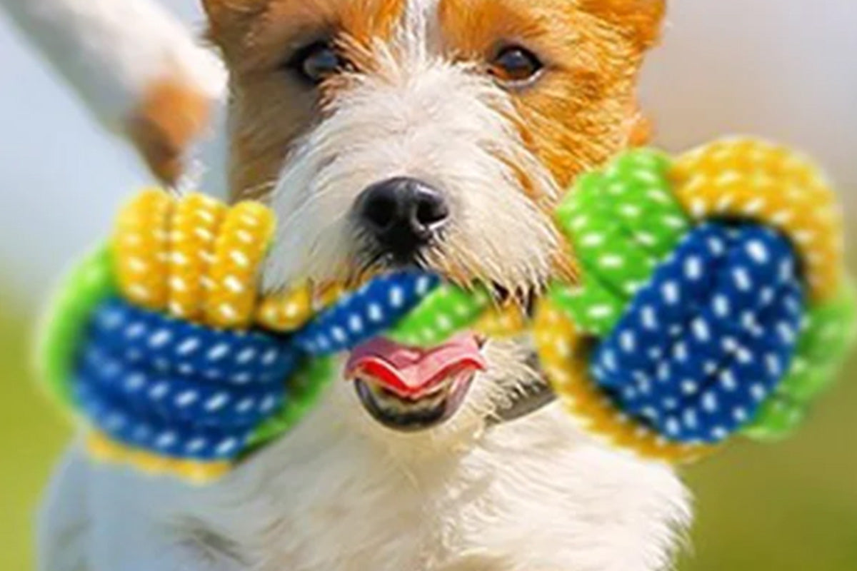 7Pcs Dog Rope Chew Toys Durable Knot Balls for Puppies Training and Teething