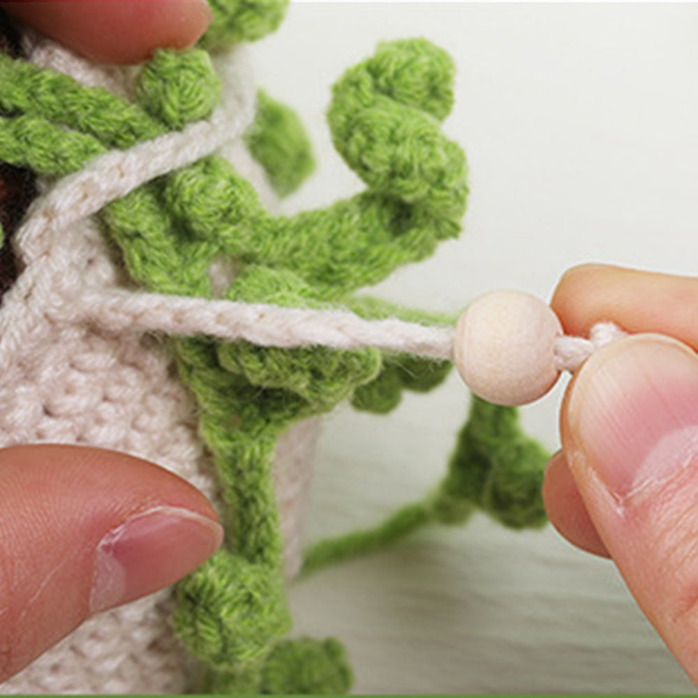 DIY Crochet Kit Crochet Hanging Plant Ornament