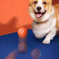 Pet Rolling Jumping Bouncing Ball Automatic Rolling Ball Toys