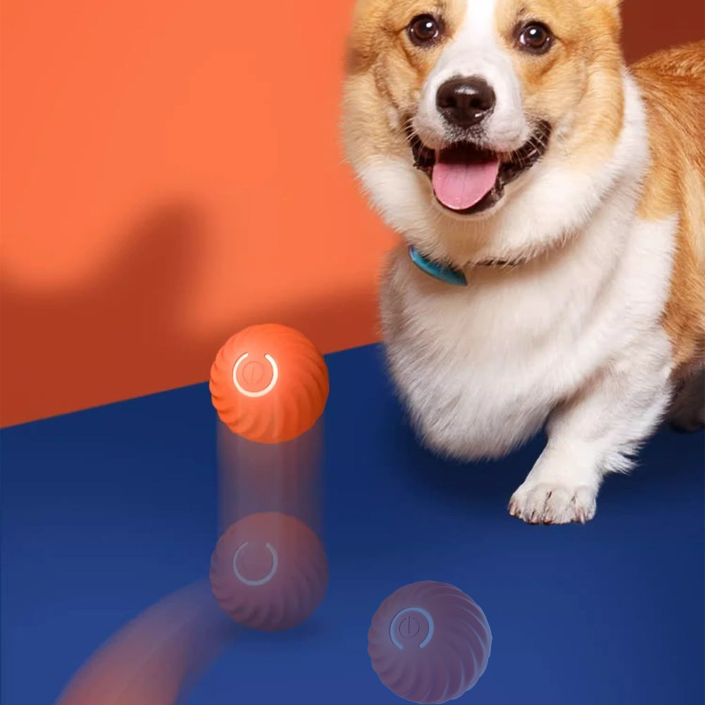 Pet Rolling Jumping Bouncing Ball Automatic Rolling Ball Toys