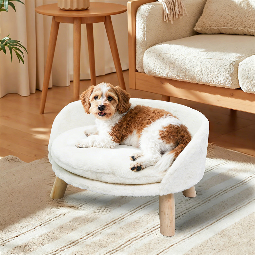 Elevated Dog Cat Bed Sofa Couch Kitten Lounge Raised Pet Bed with Legs