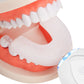 Electric Tooth Cleaner U-Shaped Toothbrush Blue Light Whitening Tooth Cleaner