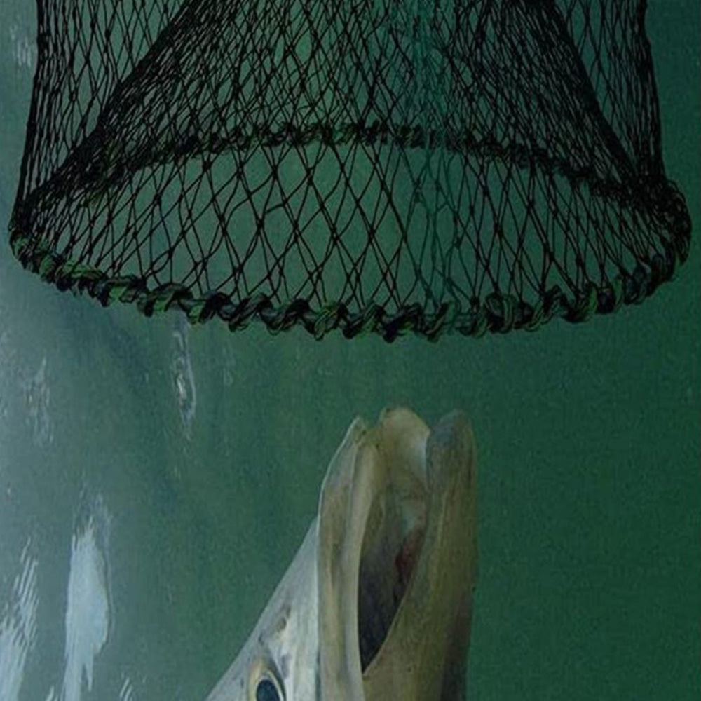 2Pcs Fishing Bait Trap with Pull Rope Collapsible Fish Net for Ponds Lakes