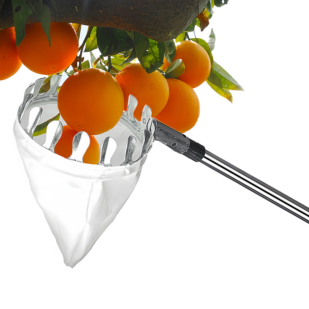 Fruit Picking Tool with Basket and Detachable Extended Handle