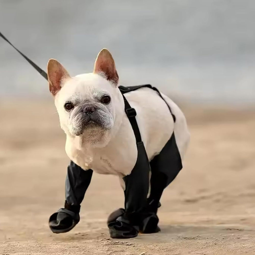 Water-resistant Pet Boots Dog Rain Shoes for Outdoor Use