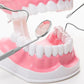 Professional Dental Tool Kit 6 Piece Stainless Steel Oral Care Set