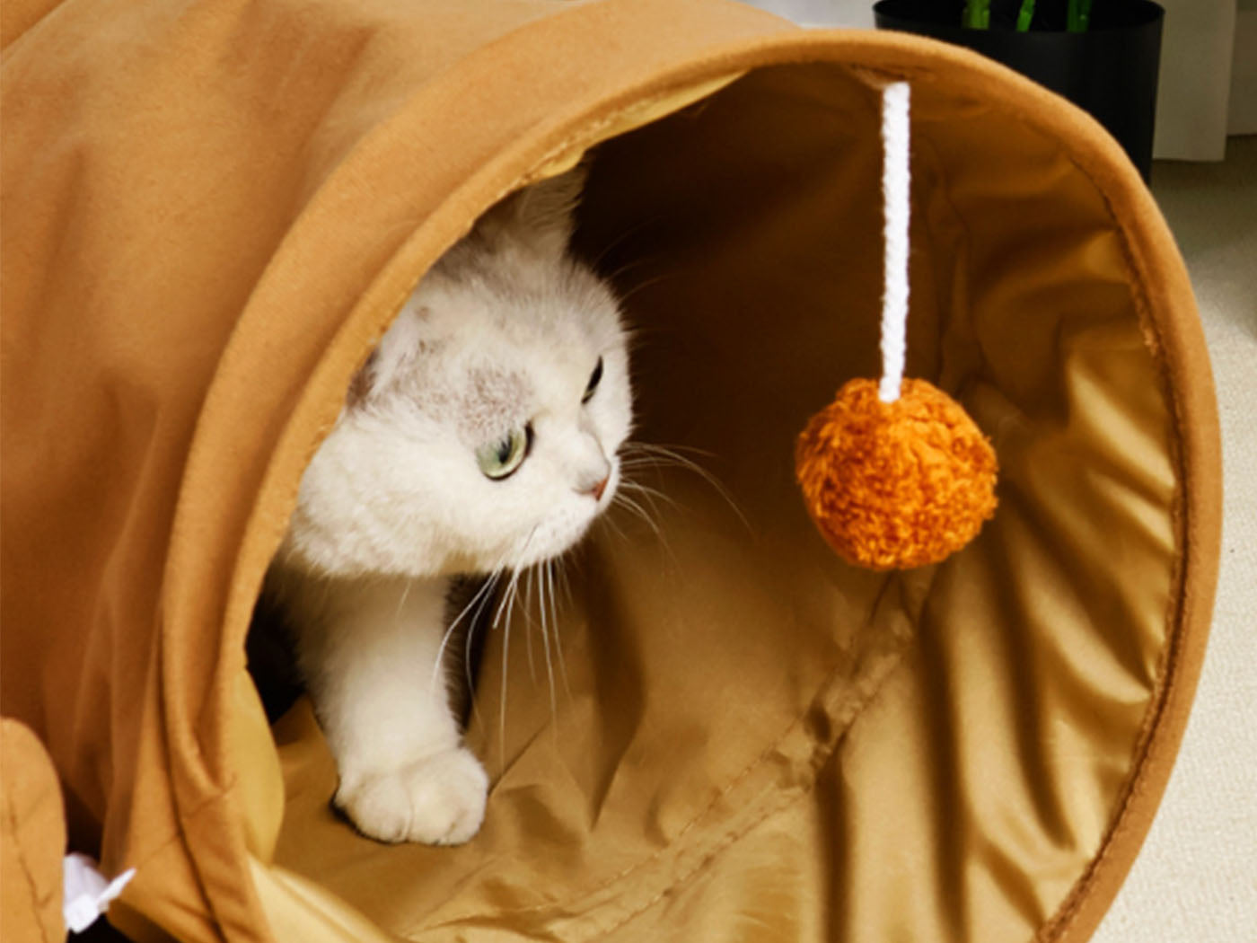 Cat Tunnel Bed for Indoor with Collapsible Washable Design