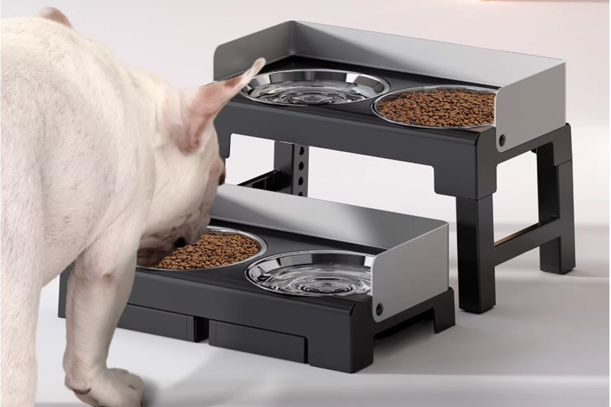 Dog Bowl Stand 5 Height Adjustable Raised Feeder with 2 Stainless Steel Bowls-Black