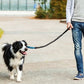 2 in 1 Hands Free Running Dog Leash for Walking Jogging
