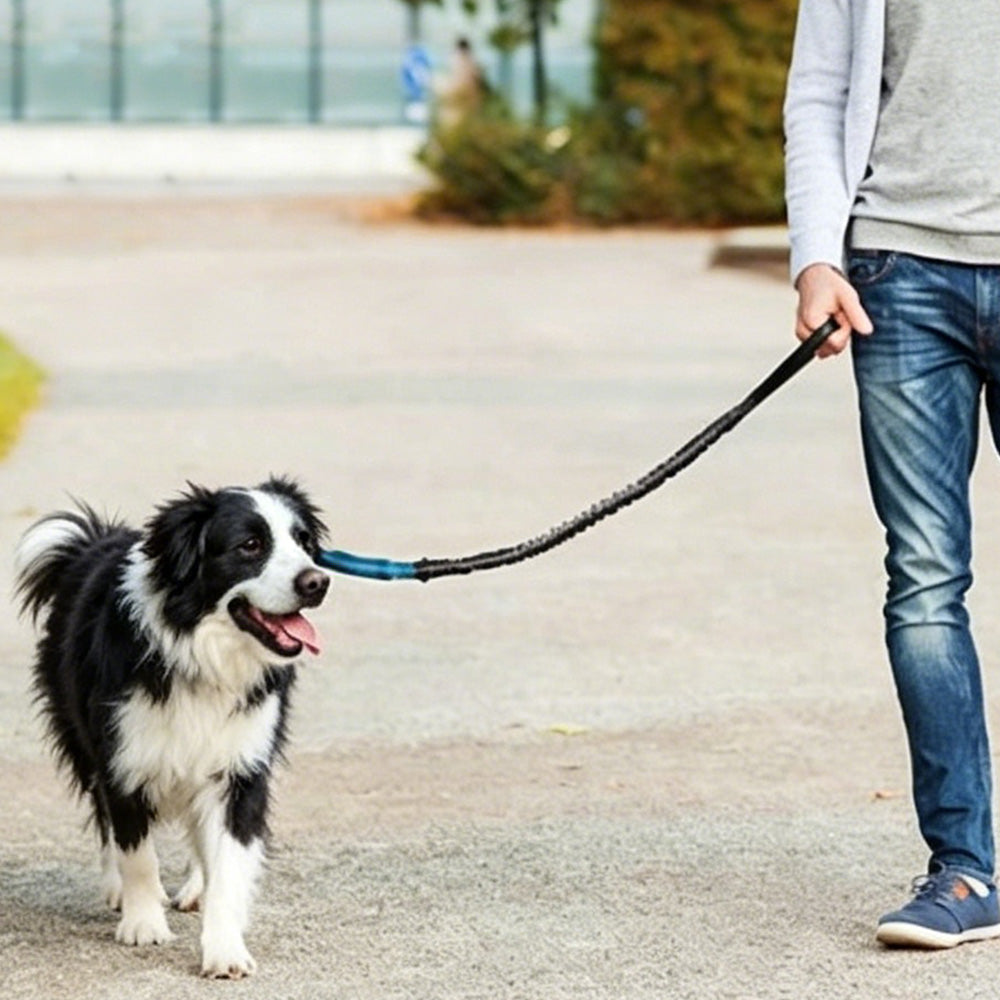 2 in 1 Hands Free Running Dog Leash for Walking Jogging
