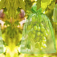 50PCS Fruit Protection Bags Green Fruit Nets Drawstring Mesh Cover Bags For Vegetable Protection