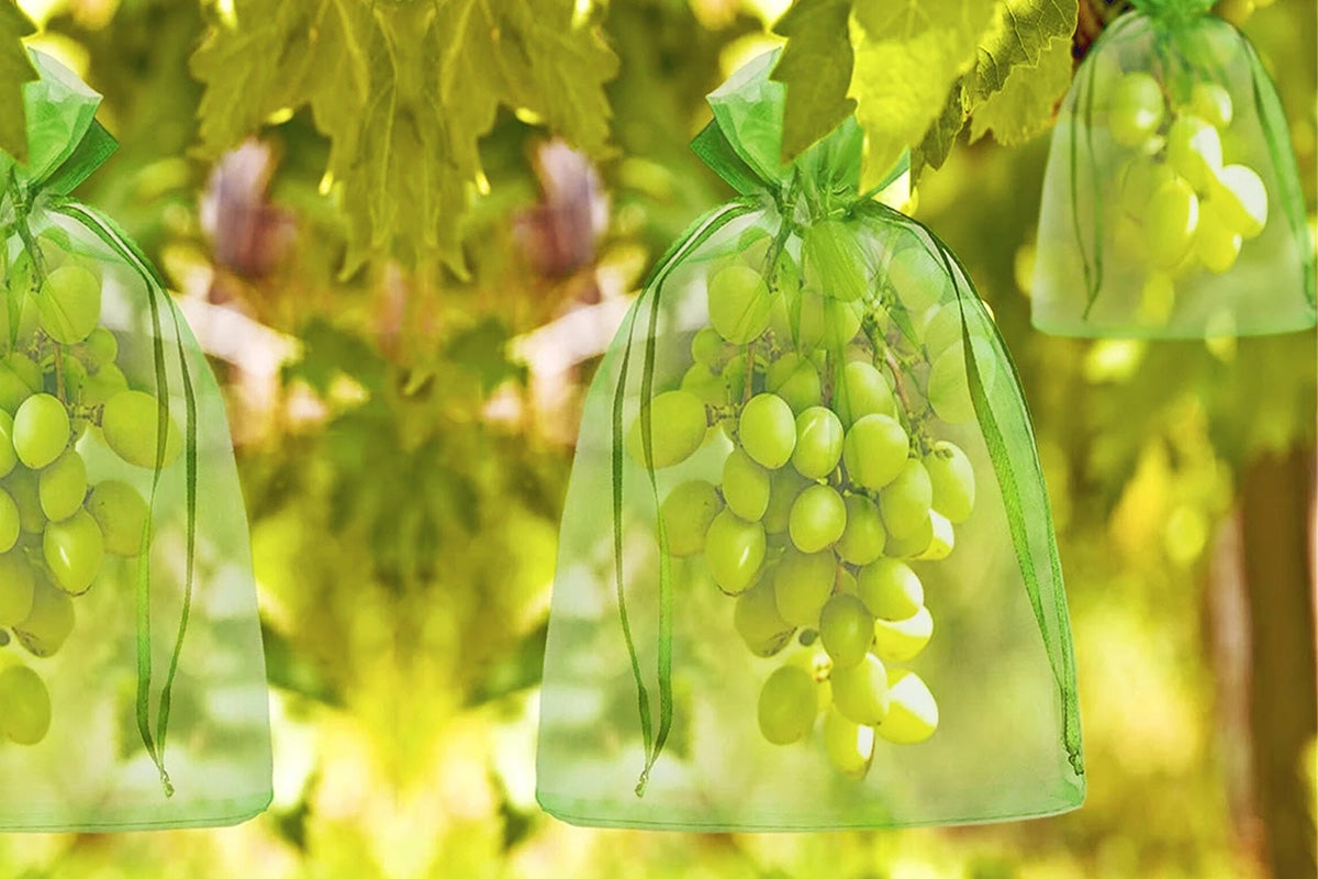 50PCS Fruit Protection Bags Green Fruit Nets Drawstring Mesh Cover Bags For Vegetable Protection
