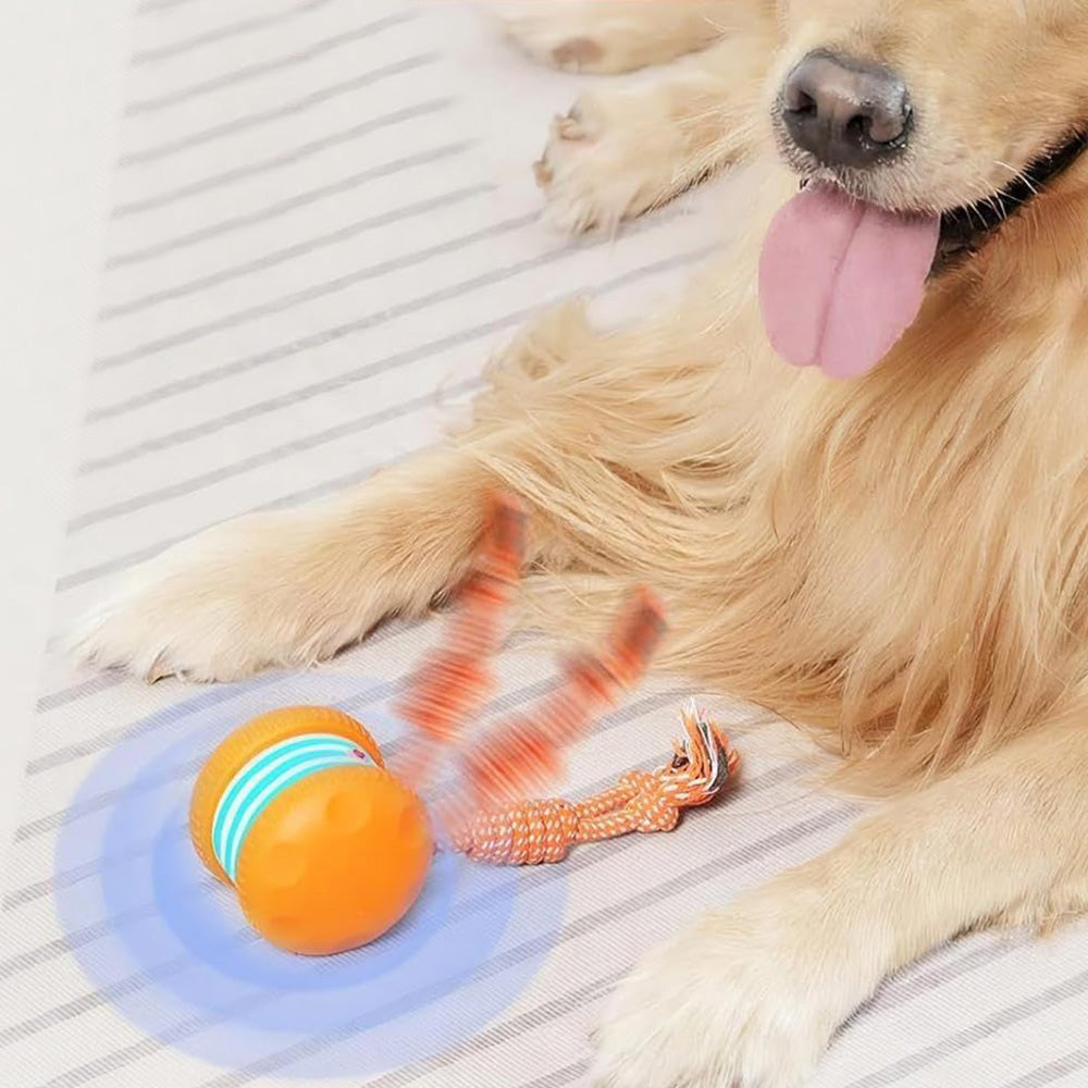 Interactive Pet Rolling Ball Toy Rechargeable Automatic Play Ball for Cats and Dogs