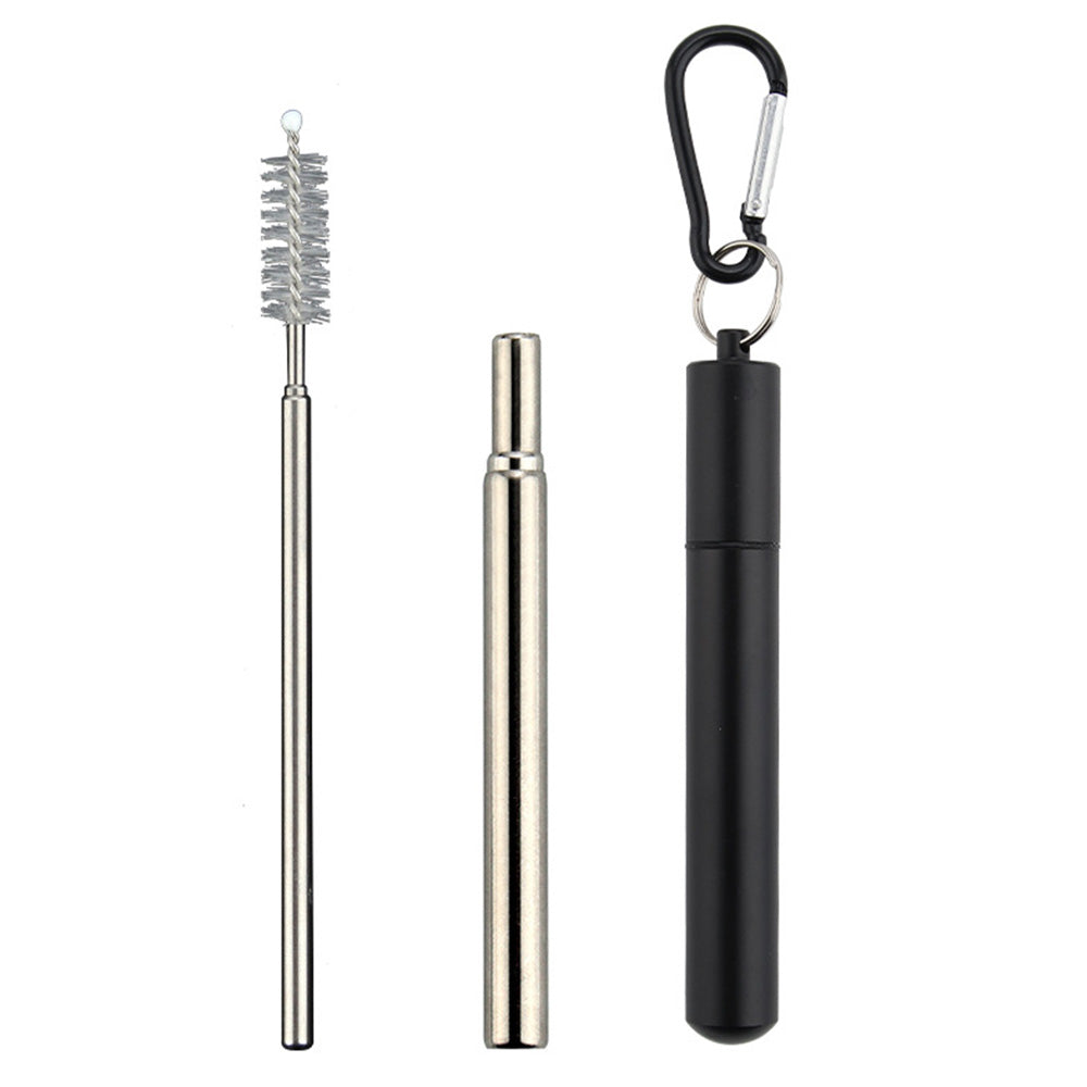 2 Pack Collapsible Stainless Steel Travel Straws with Keychain Cases