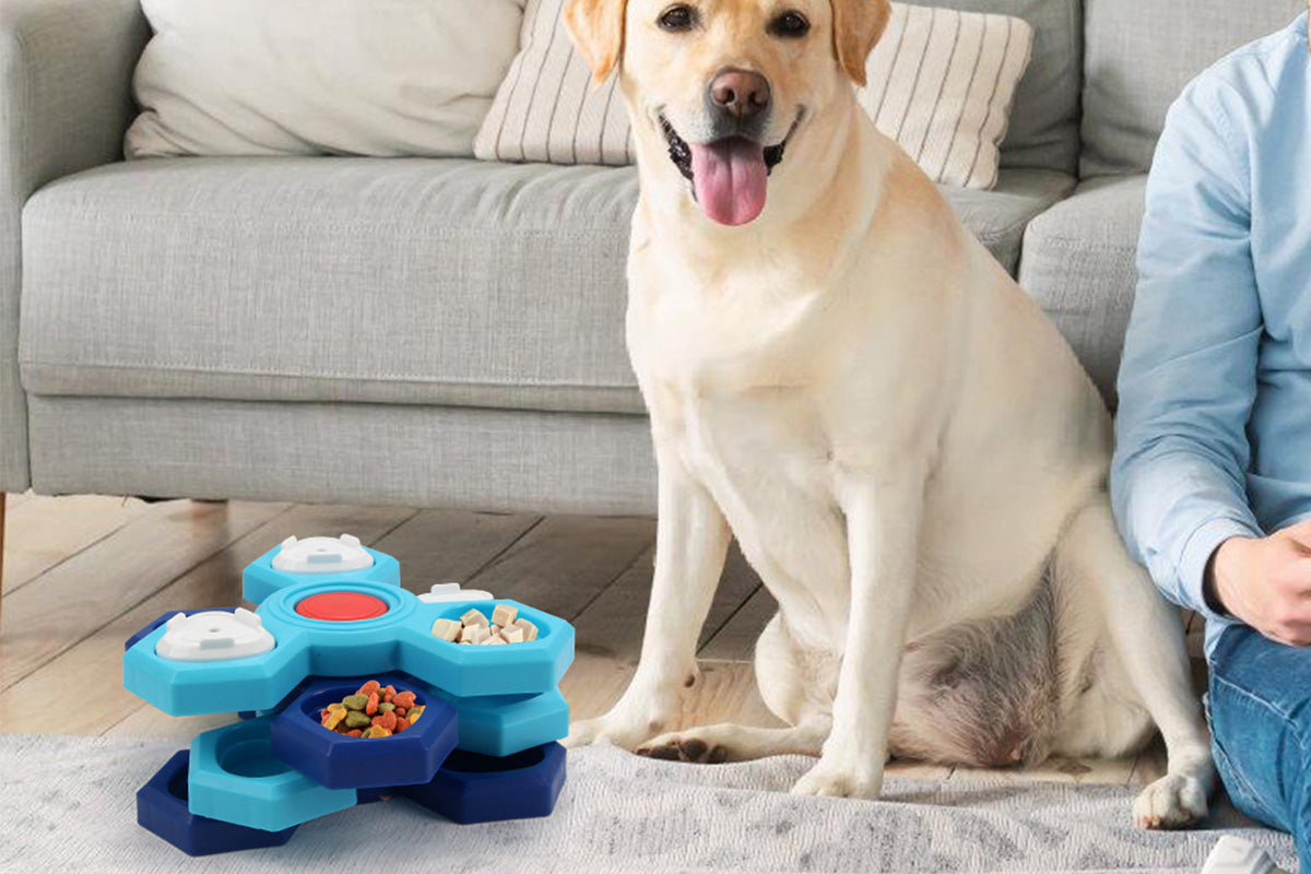 4-Layer Dog Puzzle Feeder Toy Slow Feeder Spinning Treat Dispenser with 12 Compartments