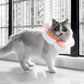 Cute Flower Cat Cone Collar Anti-Bite Lick Wound Healing Protective Neck Collar-Peach Blossom